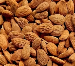 فروش و قیمت عمده مغز بادام درختی ارومیه